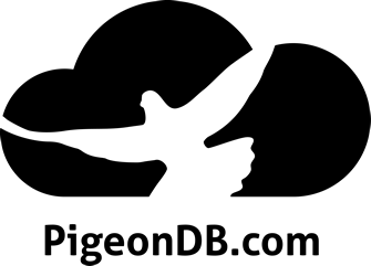 PigeonDB